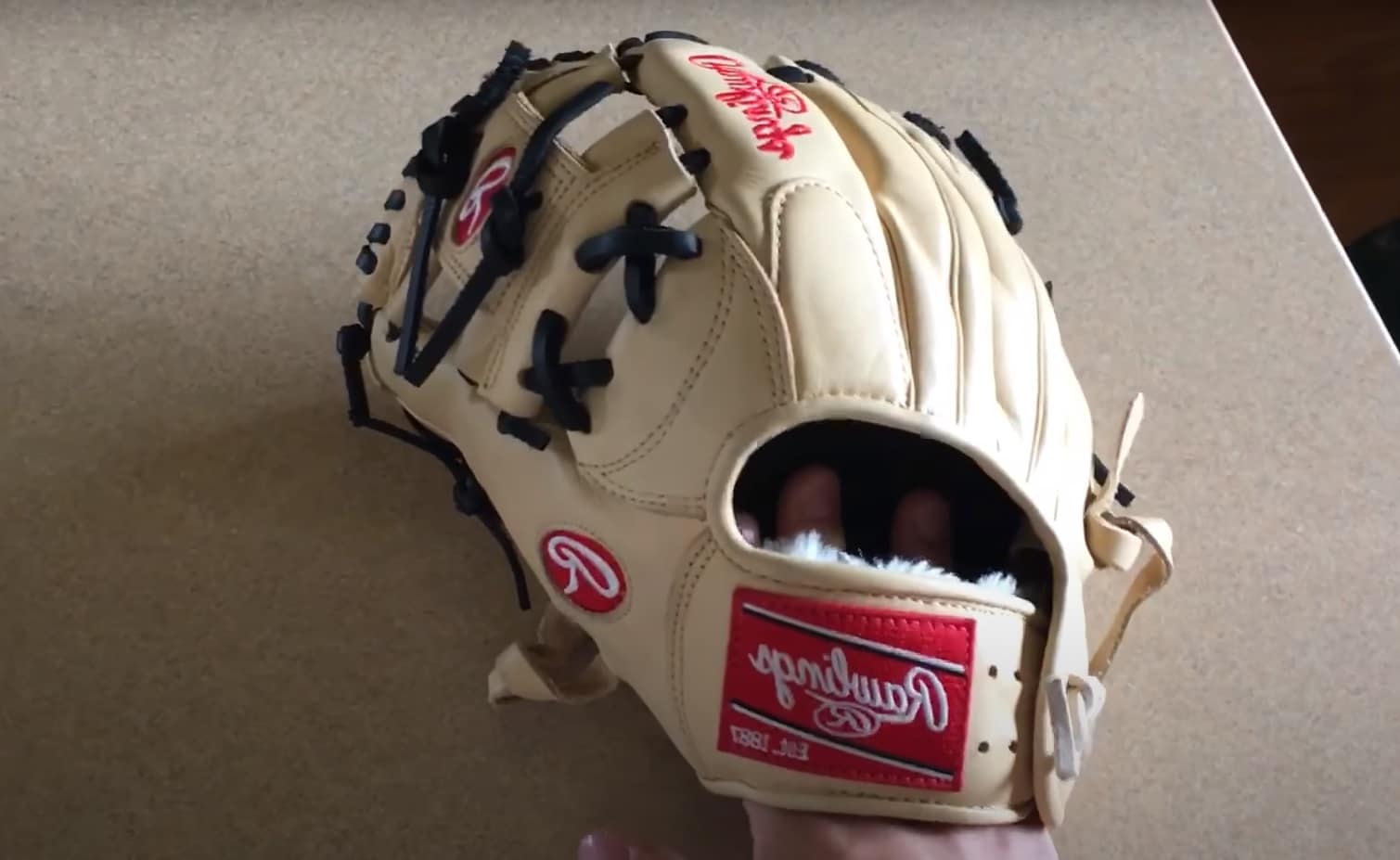 Rawlings Kids Baseball Gloves