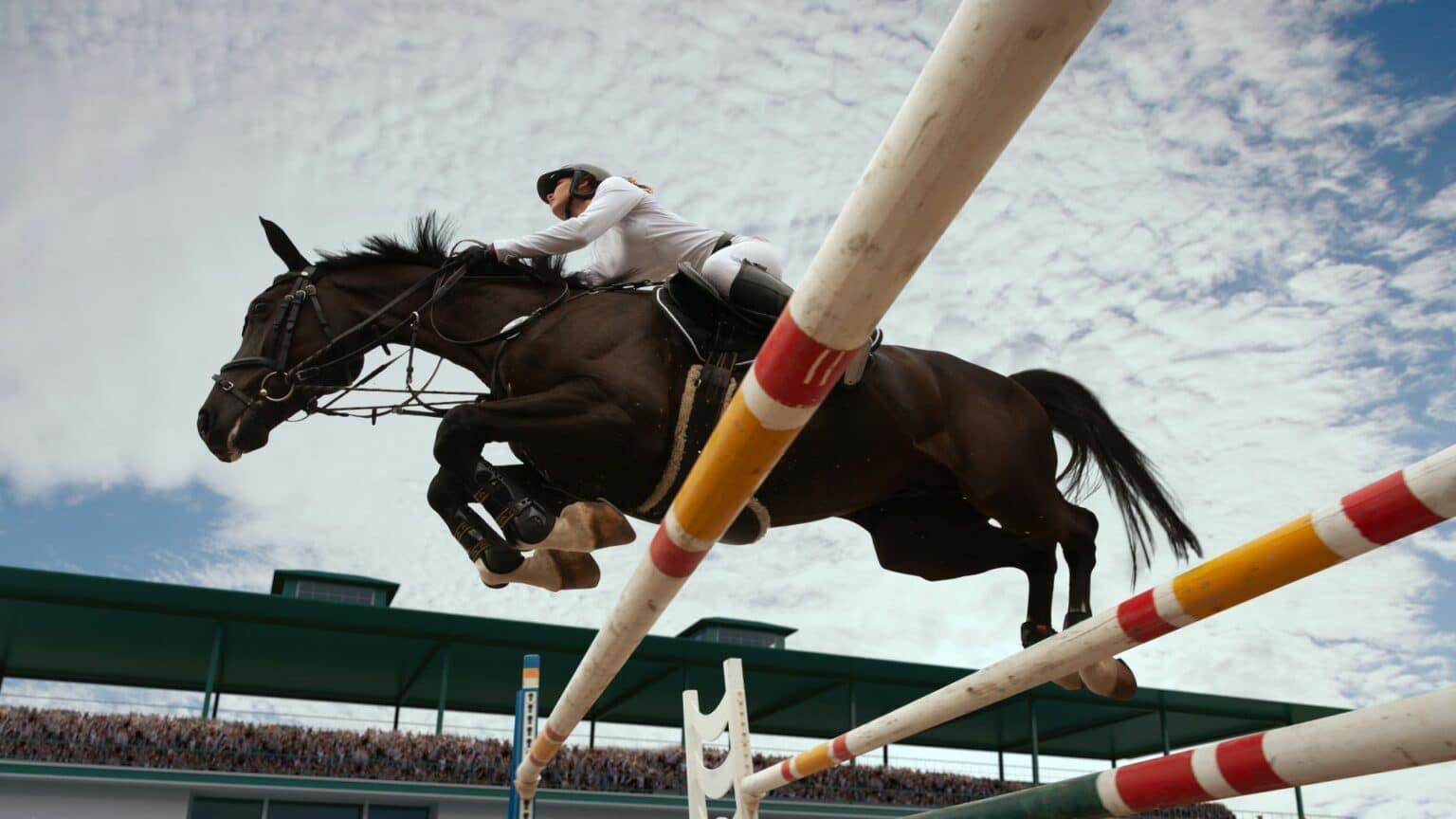 What equipment do you need to get started in equestrian sports